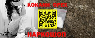 МДПВ Камышлов