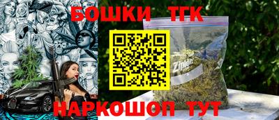 МДПВ Камышлов