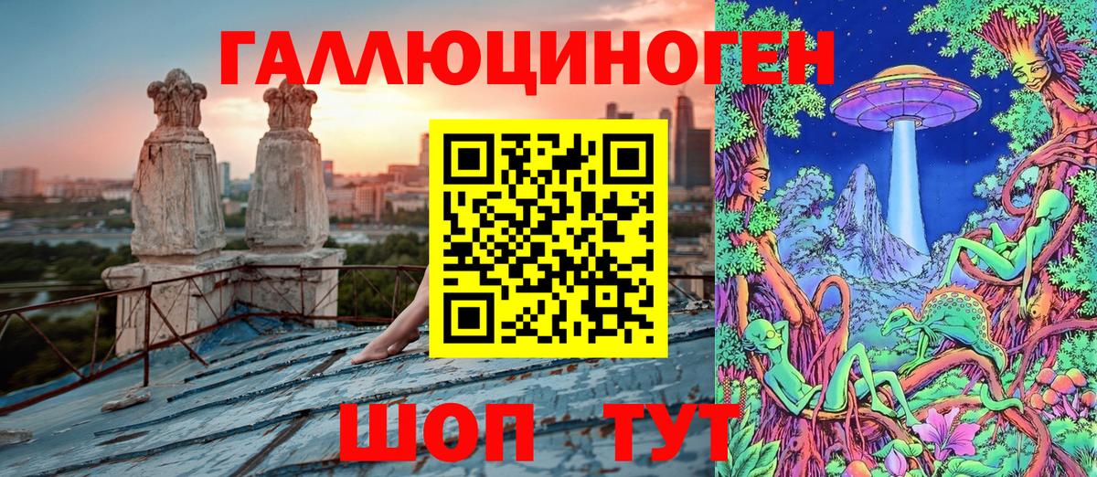 Псилоцибиновые грибы Psilocybe  Псилоцибиновые грибы Magic Shrooms  Вход с VPN  Курчалой 